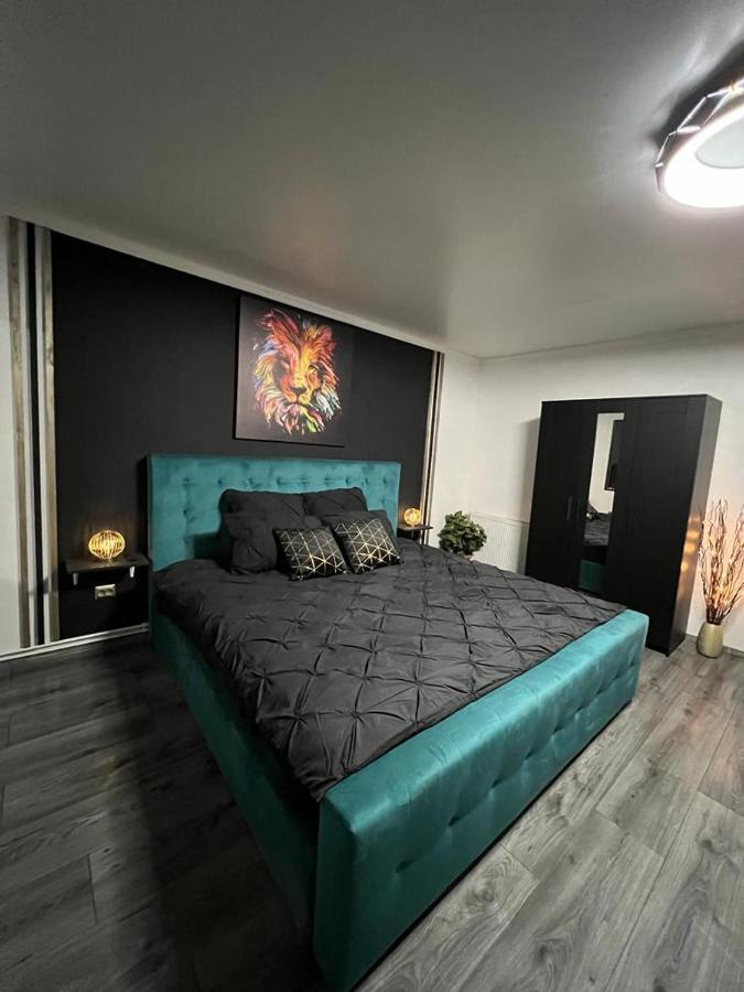Luxor Ultra-Central Apartments 锡比乌 外观 照片